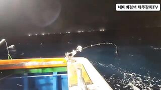 Рыба-сабля на 50 метрах у Чеджу перед дождем
