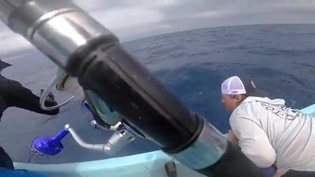Первый заброс у рифа в Судане закончился поимкой небольшого гигантского каранкса
