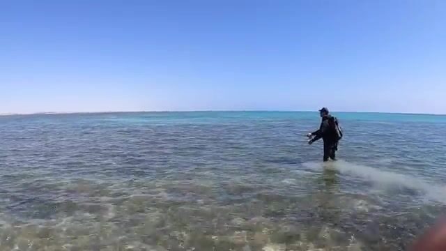 Первый заброс у рифа в Судане закончился поимкой небольшого гигантского каранкса
