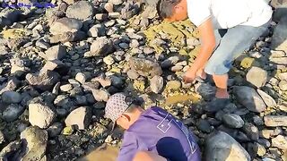 У рифа Хон-Чуа в Фуйене перебирали сеть с живым кальмаром и красным групером