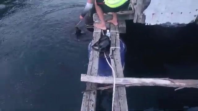 При ловле у острова Бинь-Ба кальмар сопротивлялся сильными рывками и выпустил много чернил