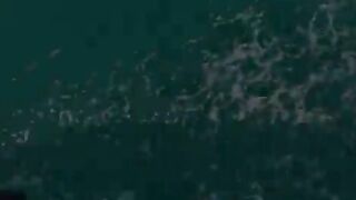 Рыбак принес морских ежей через 15 минут после звонка хозяйки кафе на Чамских островах