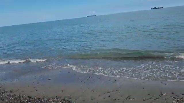 Естественная наживка для береговой рыбалки на Черном море