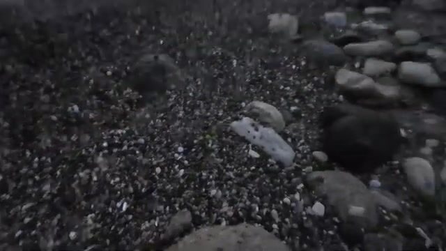 Синоп: утренняя ловля луфаря на блесну 28 г