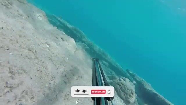 Датча, бухта Gerence: подводная охота и удочки с командой