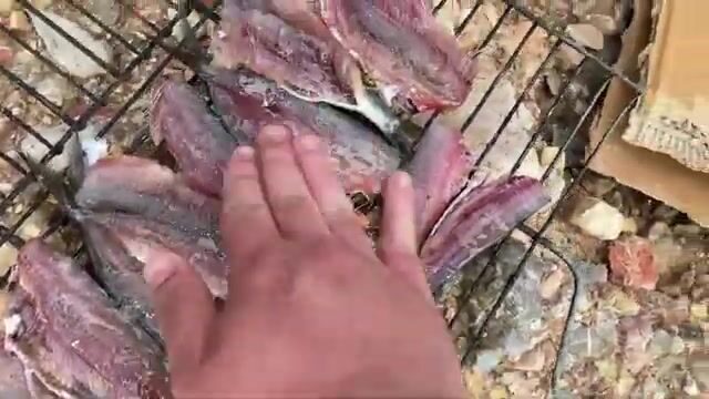 Датча, бухта Gerence: подводная охота и удочки с командой