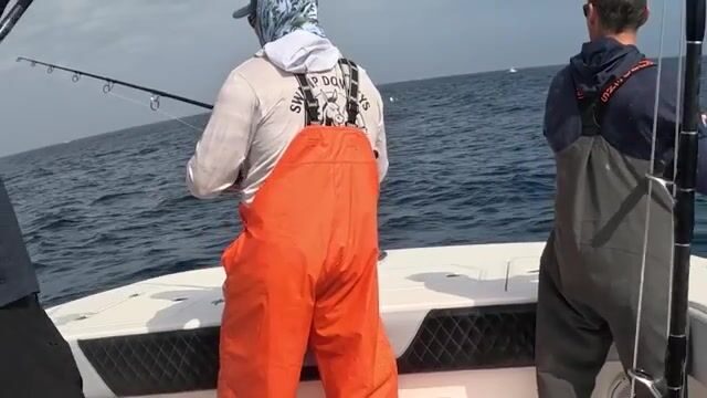 Двойная поклевка тунцов у Вениса в Мексиканском заливе