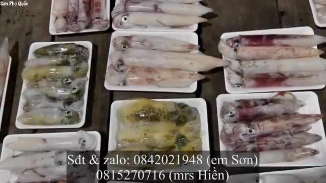 Ручная переборка крупной морской рыбы после обкидной сети у Хон-Чуой