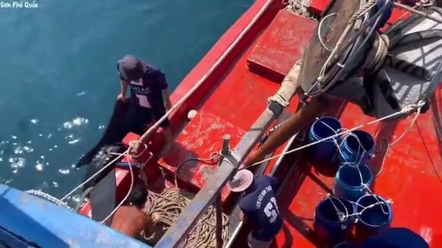 Ручная переборка крупной морской рыбы после обкидной сети у Хон-Чуой