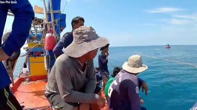 Ручная переборка крупной морской рыбы после обкидной сети у Хон-Чуой