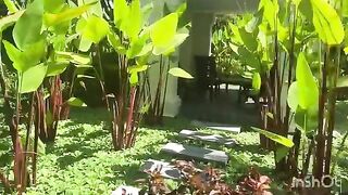 На пляже Парадайз во Вьетнаме охрана свистела уплывшим за буйки