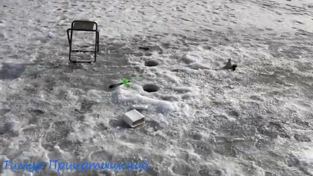 Первый день весны на льду Самаркандского водохранилища закончился переездом на Сан-Тропе