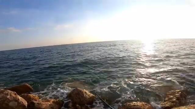 Поклевки и морская рыба у пирса в Конаклы