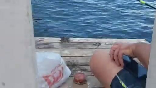 Ловля бычков и морского конька на старой пристани в Тамани