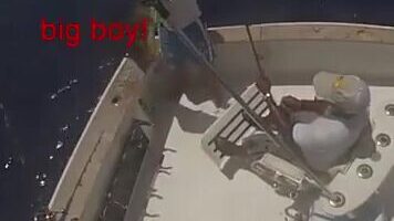 Бока-Чика как портовая база спортивной рыбалки в Доминикане