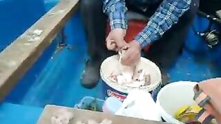 Слышим азан в Текирове и обсуждаем, почему рыба не выходит