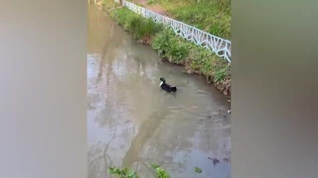 Подготовка бани на озере в Лоо