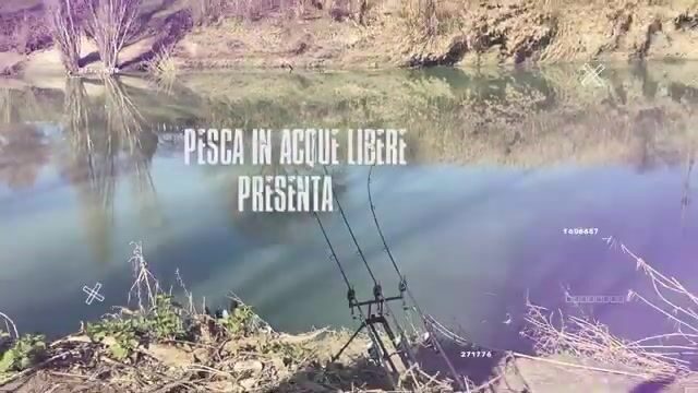 Карповая сессия на мутной реке Арно в Италии почти двое суток