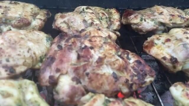 Карповая сессия на мутной реке Арно в Италии почти двое суток