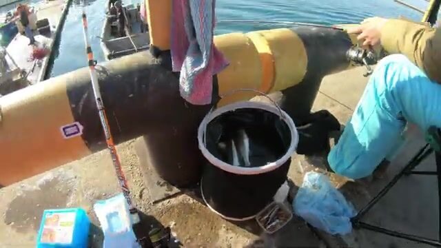 Интенсивная ловля чуларки в Имеретинском порту