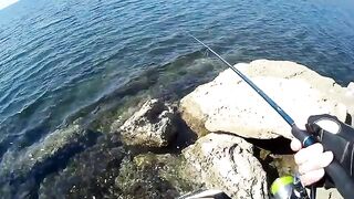 Жаркий полдень с приманкой 25 грамм в Оленевке