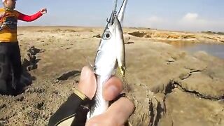 Жаркий полдень с приманкой 25 грамм в Оленевке