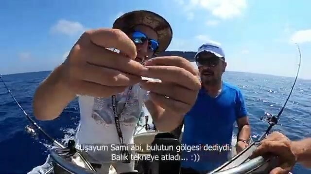 Выходим из Лапты и Алсанджака за тунцом и встречаем дельфинов