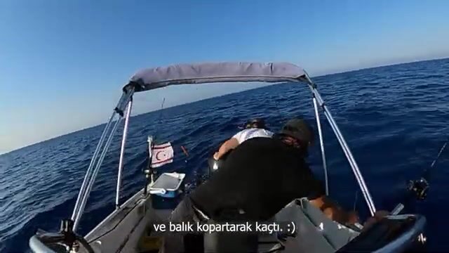 Выходим из Лапты и Алсанджака за тунцом и встречаем дельфинов