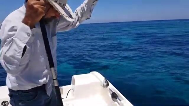 Береговые горизонты ловли у Лапты и Алсанджака на Северном Кипре