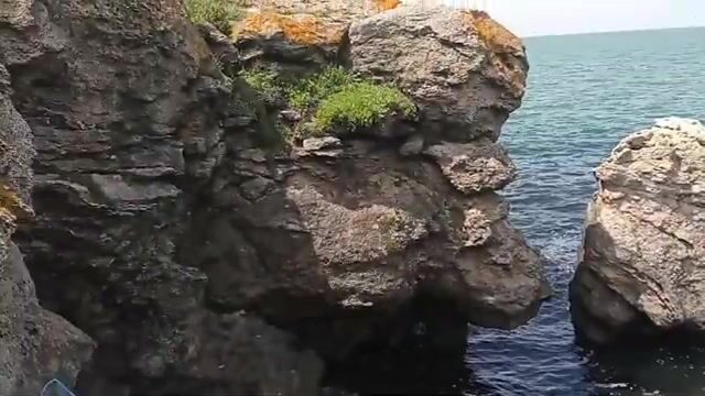 Бычок на куриные сердечки у Мысового на Азовском море