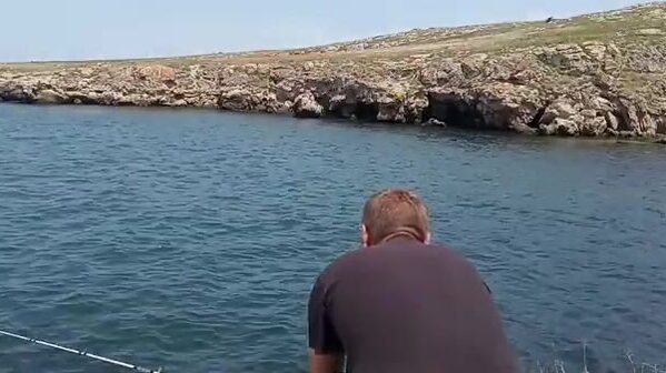 Бычок на куриные сердечки у Мысового на Азовском море