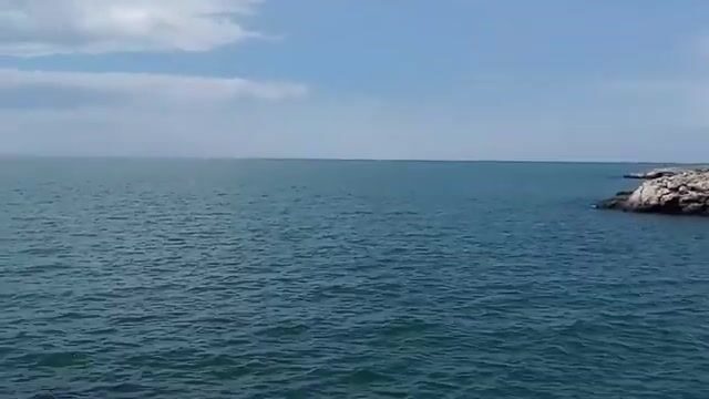 Бычок на куриные сердечки у Мысового на Азовском море