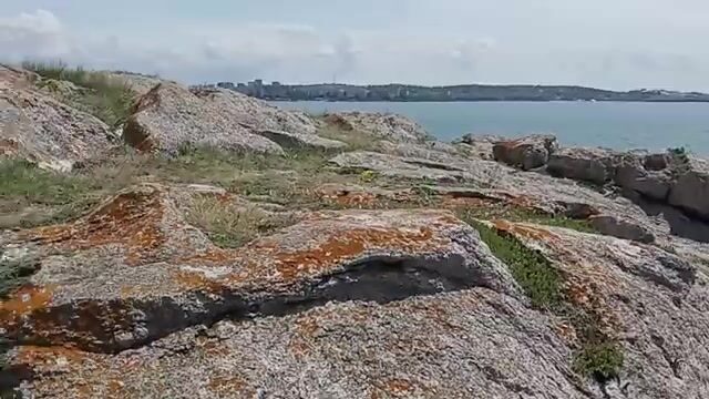 Бычок на куриные сердечки у Мысового на Азовском море