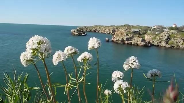 Бычок со скал у Семёновки на креветку