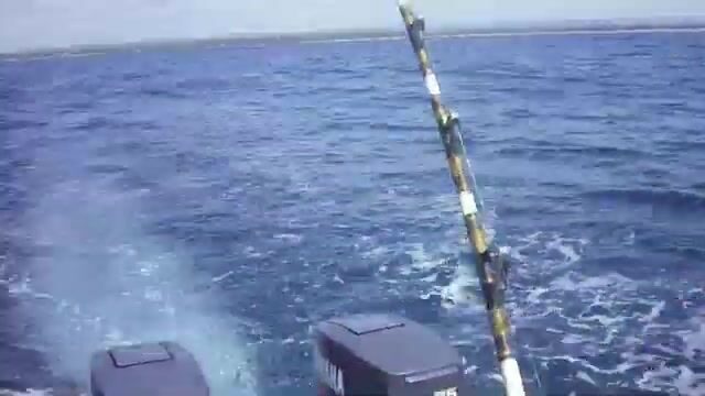 Морские чартеры Диани пелагика и донная ловля в Индийском океане