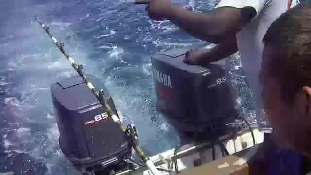 Морские чартеры Диани пелагика и донная ловля в Индийском океане
