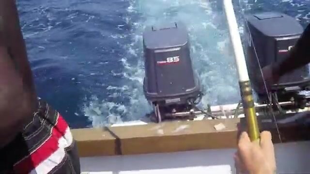 Морские чартеры Диани пелагика и донная ловля в Индийском океане
