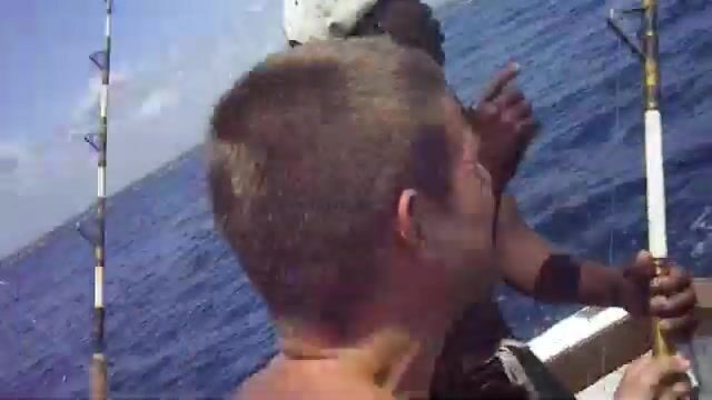 Морские чартеры Диани пелагика и донная ловля в Индийском океане