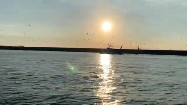 Морской нахлыст из Катании на Сицилии