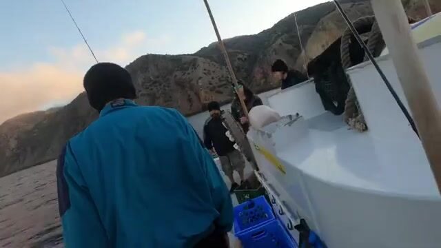 Колючий лангуст в Лос-Анджелесе и любительские способы добычи