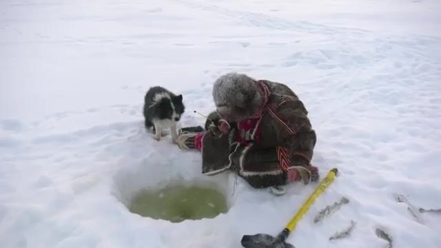 Проверка рюжи и сетей в Байдарацкой губе