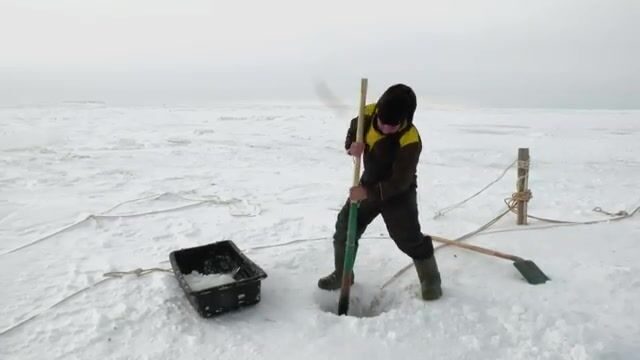 Проверка рюжи и сетей в Байдарацкой губе