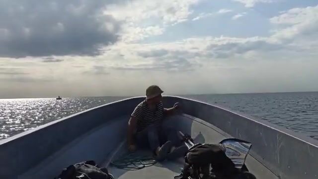 Подъем сети с барабулькой и карасем у берега Шепси