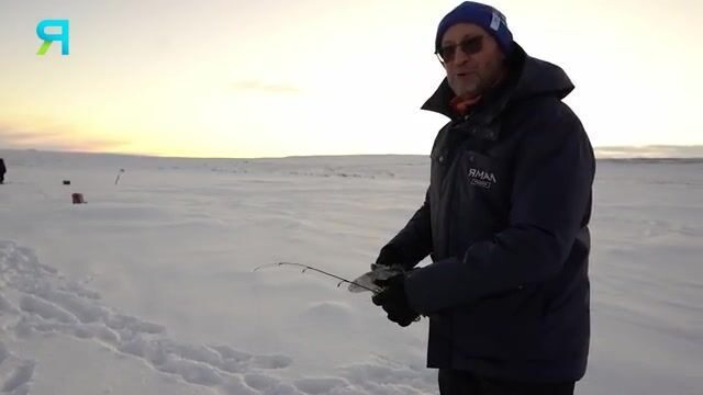 Камбала на Карском море