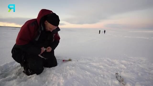 Камбала на Карском море