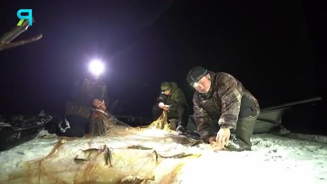 Камбала на Карском море