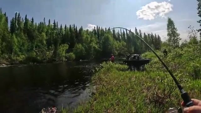 Камбала на дедовскую снасть с десятью крючками у Архангельска