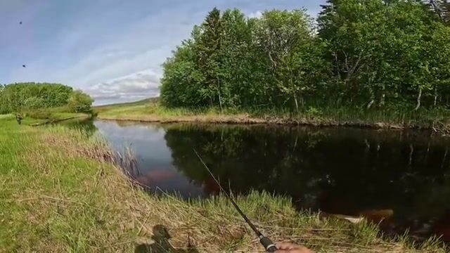 Камбала на дедовскую снасть с десятью крючками у Архангельска