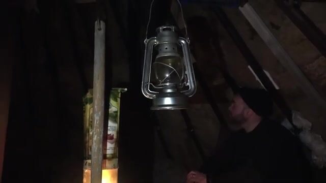 Корюшка и навага на Карском море, песец ворует улов