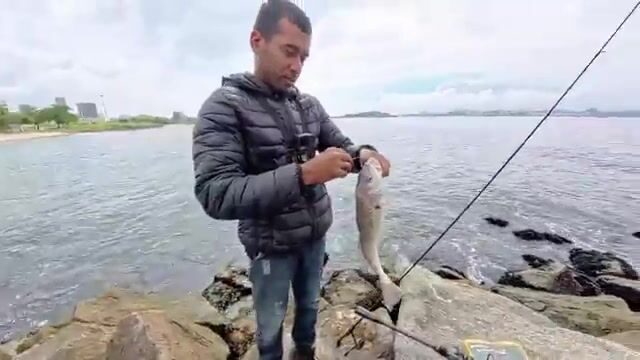 Рыба-сабля на маленькую приманку и выпуск на Копакабане в Рио-де-Жанейро